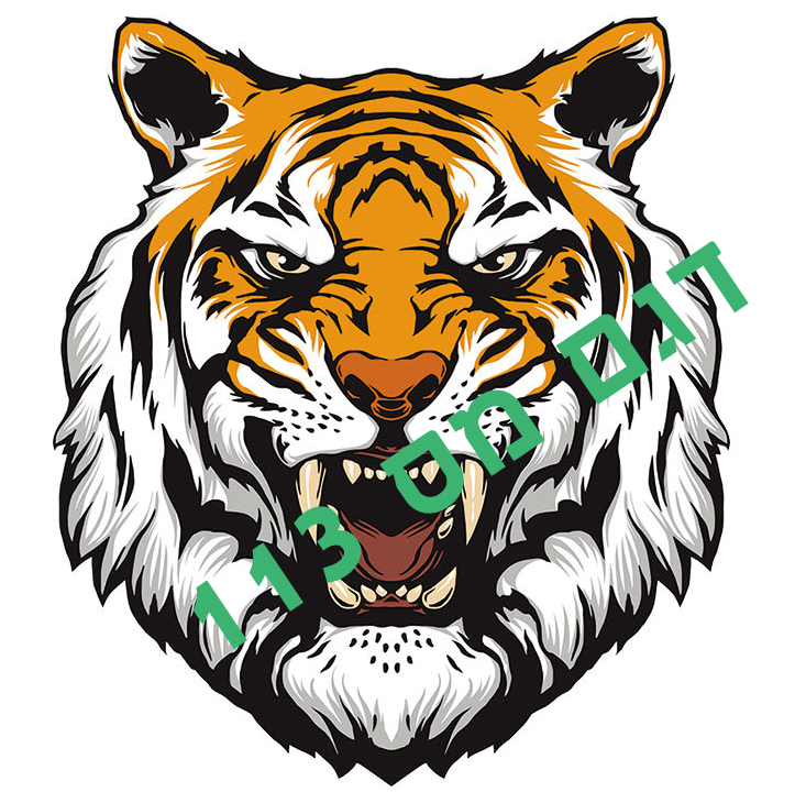 חולצה עם הדפס