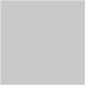  ויניל דביק לחיתוך 40יח צבע כסף 40יח